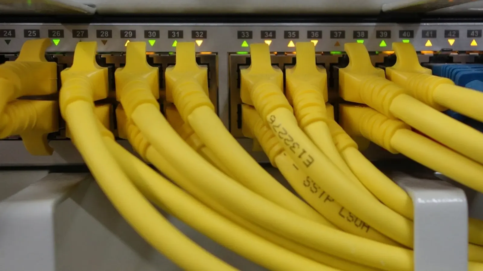 Gelbe Netzwerkkabel in einem Switch