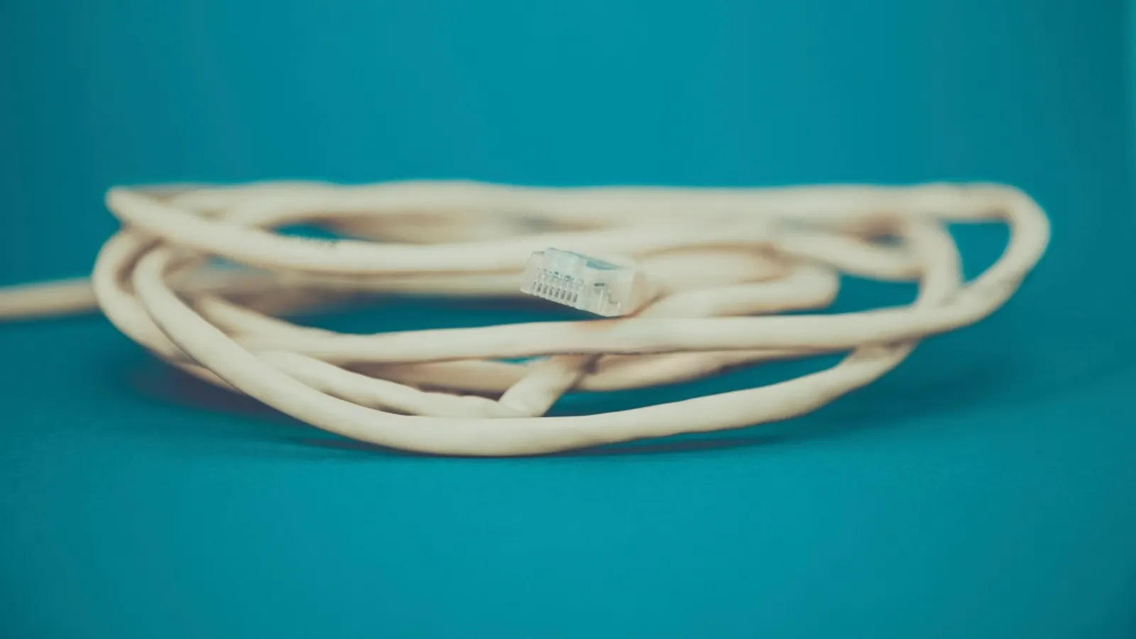 A coiled white network cable on a teal background