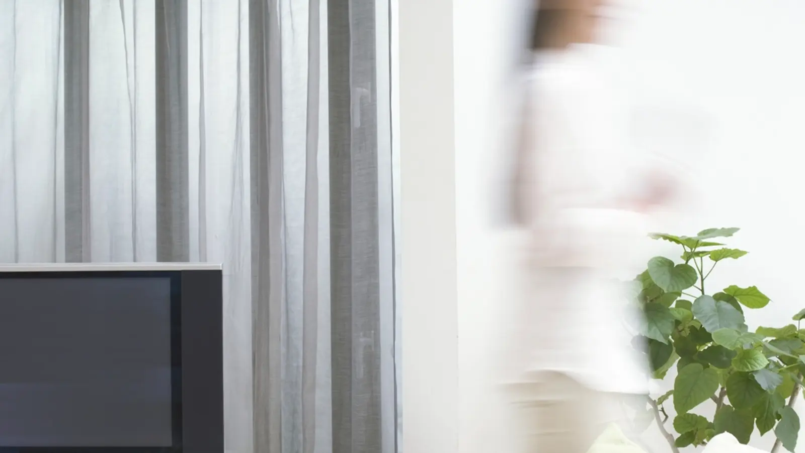 Intérieur lumineux avec un téléviseur près d'une fenêtre et une plante