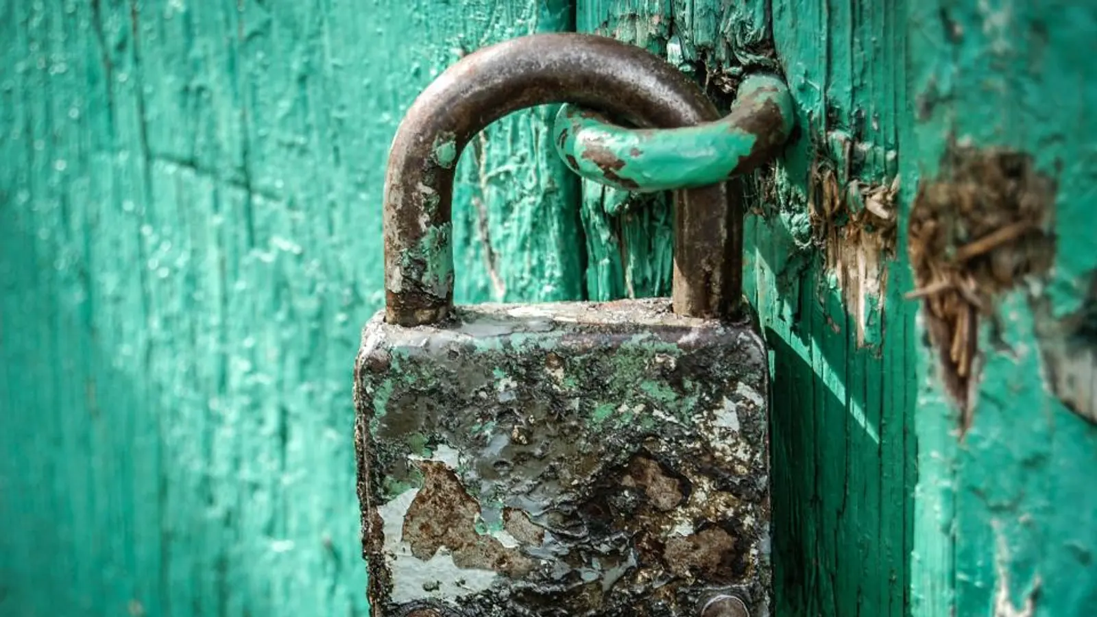 A rusty padlock on a green wooden door