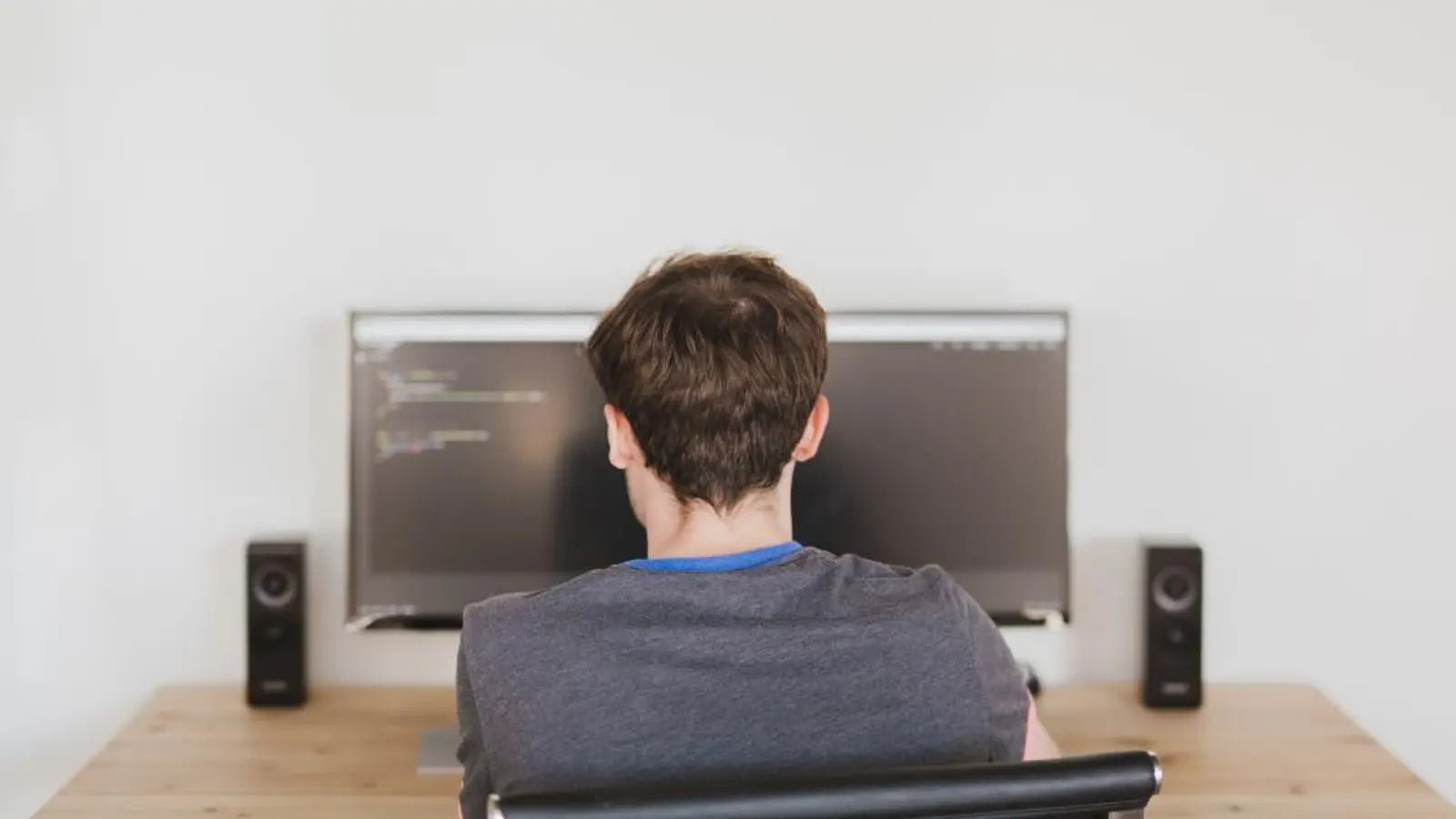 Ragazzo di spalle davanti allo schermo di un computer