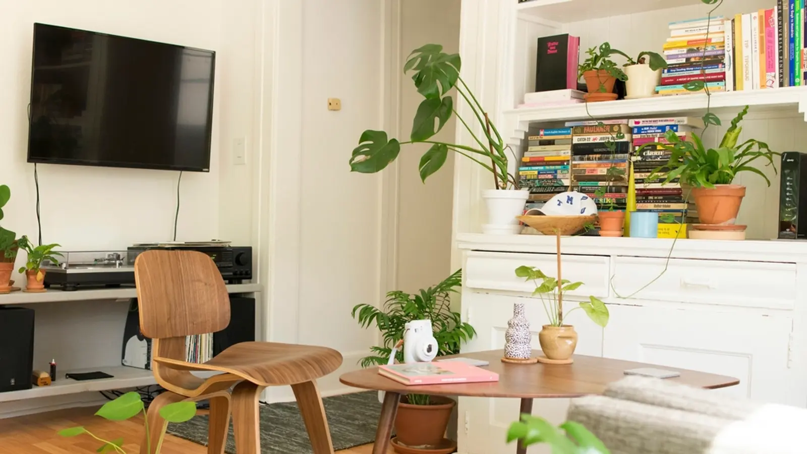 Soggiorno con televisore a parete, piante e libreria